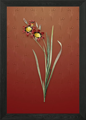 Quadro stampa tela poster - quadro,