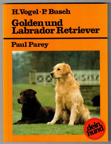 Golden und labrador retriever - und,