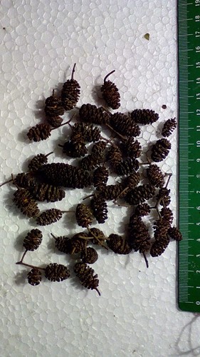 72 100 120 o - 52,,