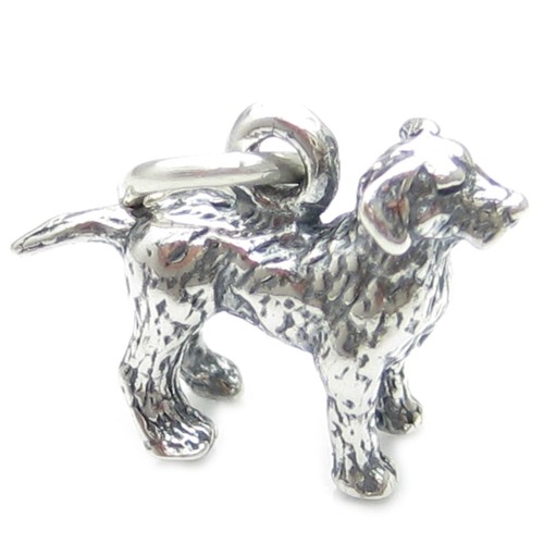 Ciondolo argento sterling - ciondolo, in