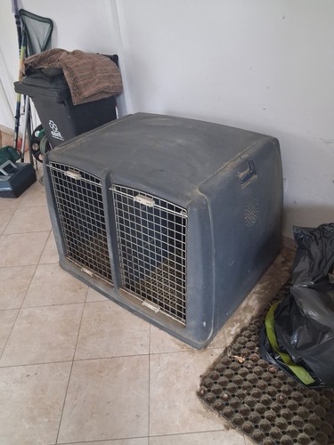 Trasportino cane auto - cane,