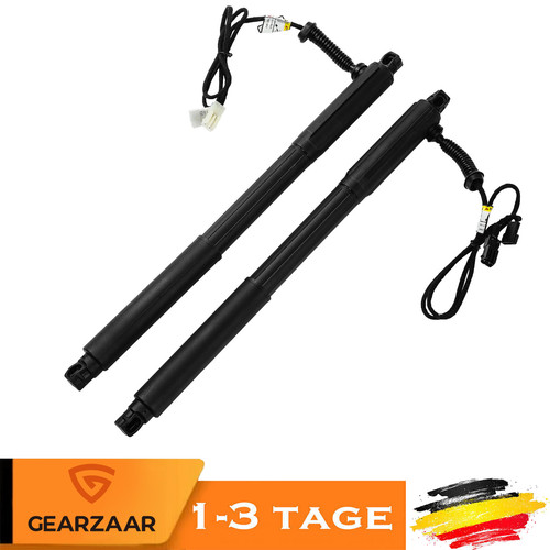 Molle gas elettriche - 2,