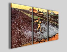 Quadri Van gogh u seminatore