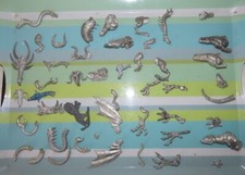 Games Workshop Cittadella