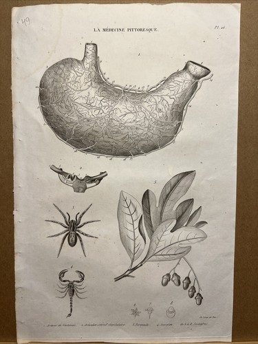 Acquaforte antica 1834