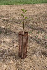 Shelter H 50cm - Rete