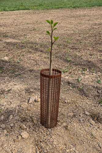 Shelter 50cm rete - 50cm,