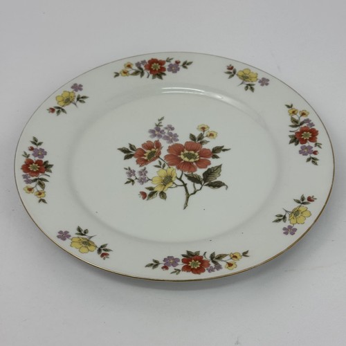 Piatto insalata dynasty - insalata,