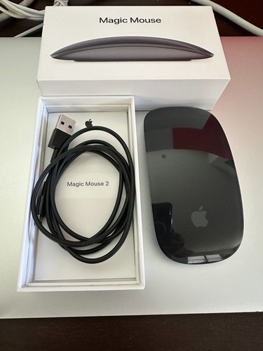 Mouse apple magic grigio - apple,