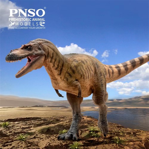 Pnso albertosaurus modello - pnso, 72