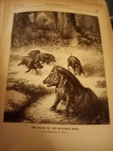 El3 edwardian book - , picture