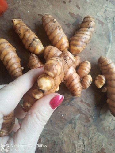 150 curcuma fresca - gr,