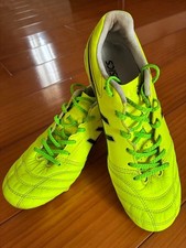 Scarpe da corsa ASICS DS Light