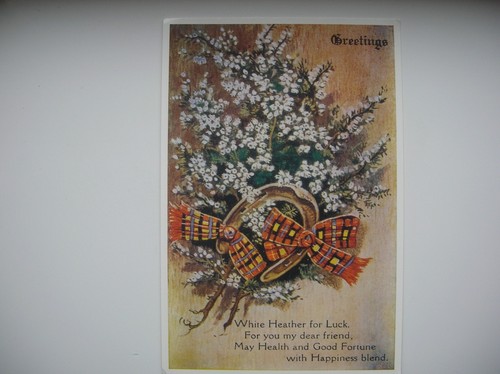 White heather for luck auld - luck,