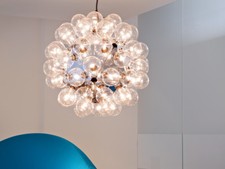 Flos taraxacum s1 - s1, con
