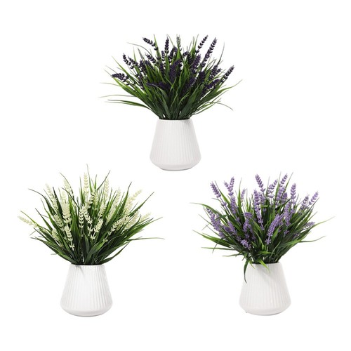 Composizione fiori lavanda - fiori,