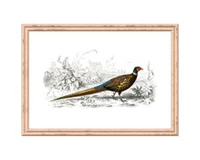 Stampa artistica da parete