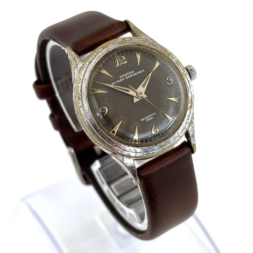 Vintage anni croton nivada - croton,