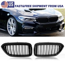 Shiny Black Front Kidney