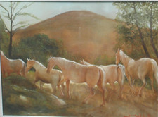 CAVALLI BRADI SUL SENTIERO -