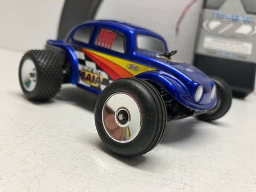 Insetto losi micro baja raro - insetto, raro!