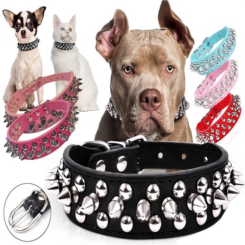Pit per cani pelle - pit, a