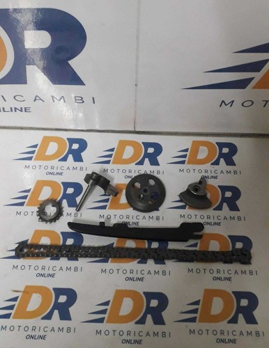 Catena distribuzione motore - distribuzione,