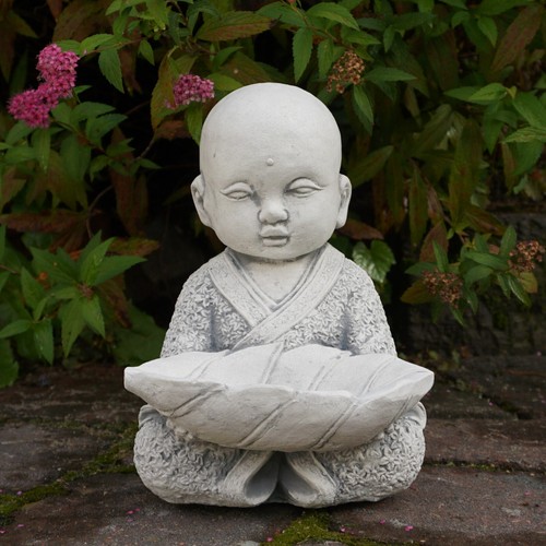 Buddha monaco con - , ciotola