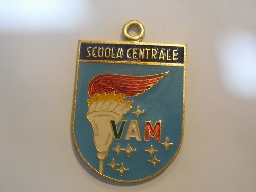Medaglia scuola centrale - scuola,