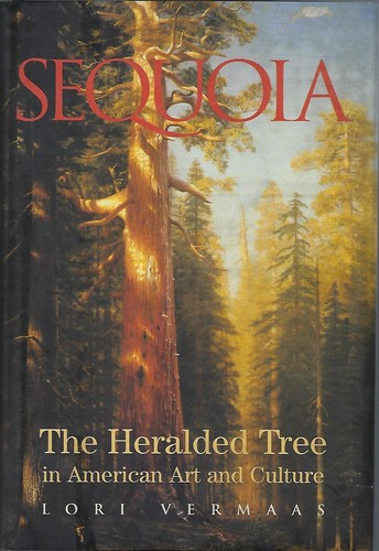 Sequoia the heralded tree - heralded, in