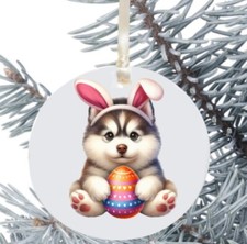 Husky Malamute Palla da