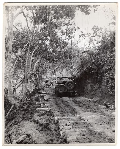 Ww2 usmc divisione marina - 2°,