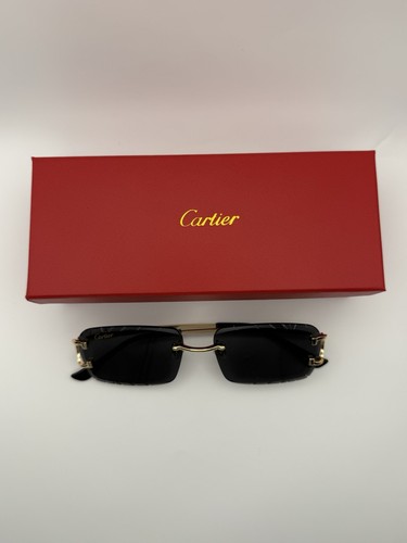 Cartier big lente senza - cartier,