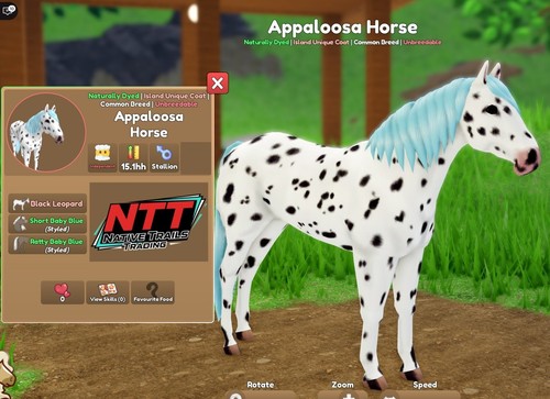 Wild horse islands black - -,