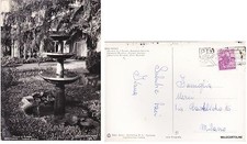 # SPOTORNO:  FONTANA ANTICA   1962