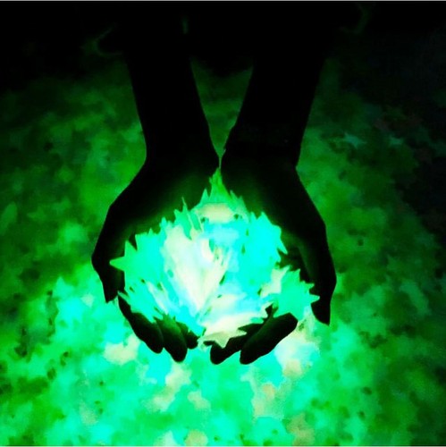 Stelle luminose cielo stellato