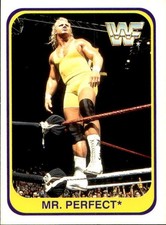 card wwf wrestling merlin 1991