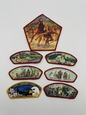 Patch Boy Scouts Laurel