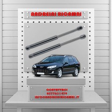 2 MOLLE A GAS BAGAGLIAIO