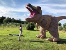 Gaint Dinosauro Gonfiabile