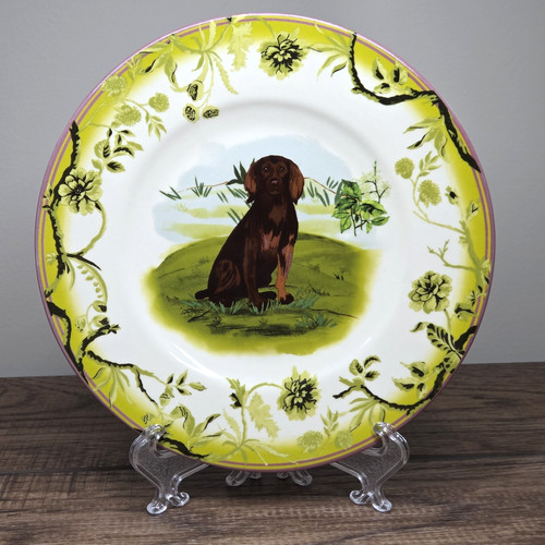 Nuovo anthropologie portobello - anthropologie,