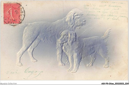 Akvp9 0662 chien basset - akvp9-0662-chien,