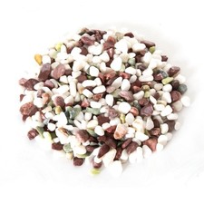 Reptiles Planet Ciottoli di