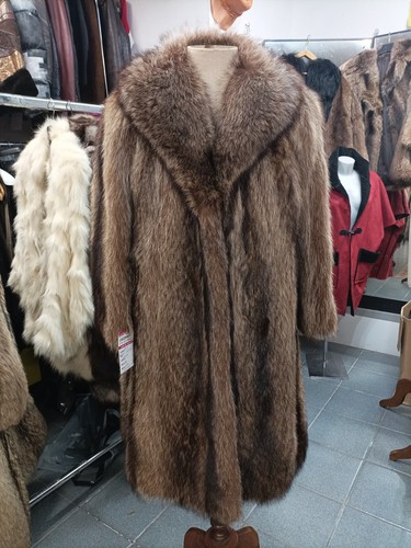 Marmotta