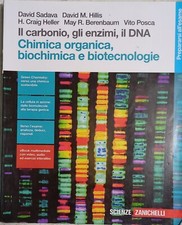 Carbonio gli enzimi il - enzimi,,