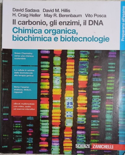 Carbonio gli enzimi il - carbonio,,