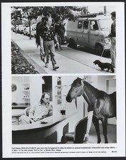 Hot To Trot '88 BOBCAT