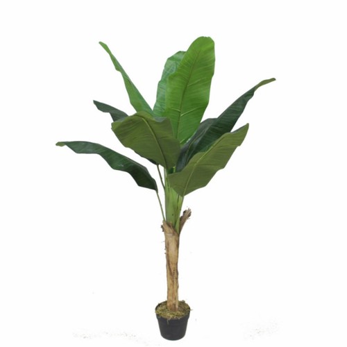 Pianta banano artificiale - pianta,