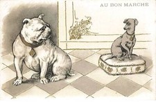 Cani Cane #FG36558 Cane 1