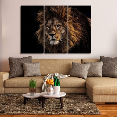 Maestoso leone maschio 2 - leone,